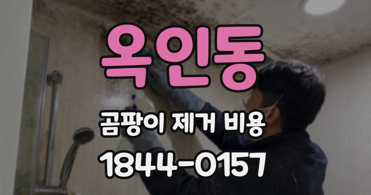 옥인동 곰팡이 제거 비용