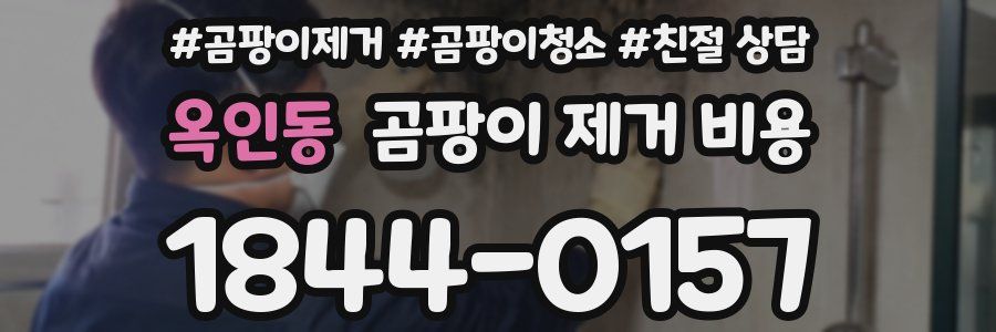 옥인동 곰팡이 제거 비용