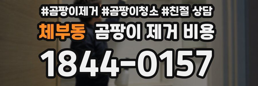체부동 곰팡이 제거 비용