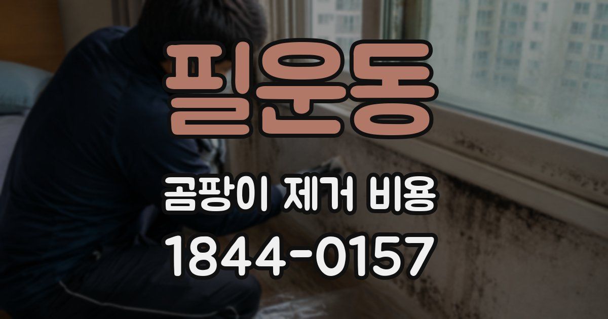 필운동 곰팡이 제거 비용