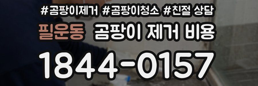 필운동 곰팡이 제거 비용