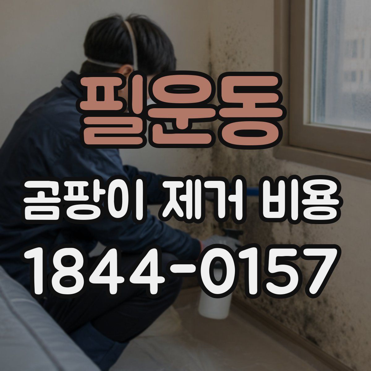 필운동 곰팡이 제거 비용