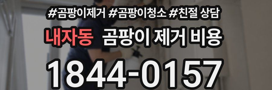 내자동 곰팡이 제거 비용