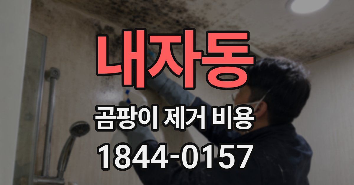 내자동 곰팡이 제거 비용