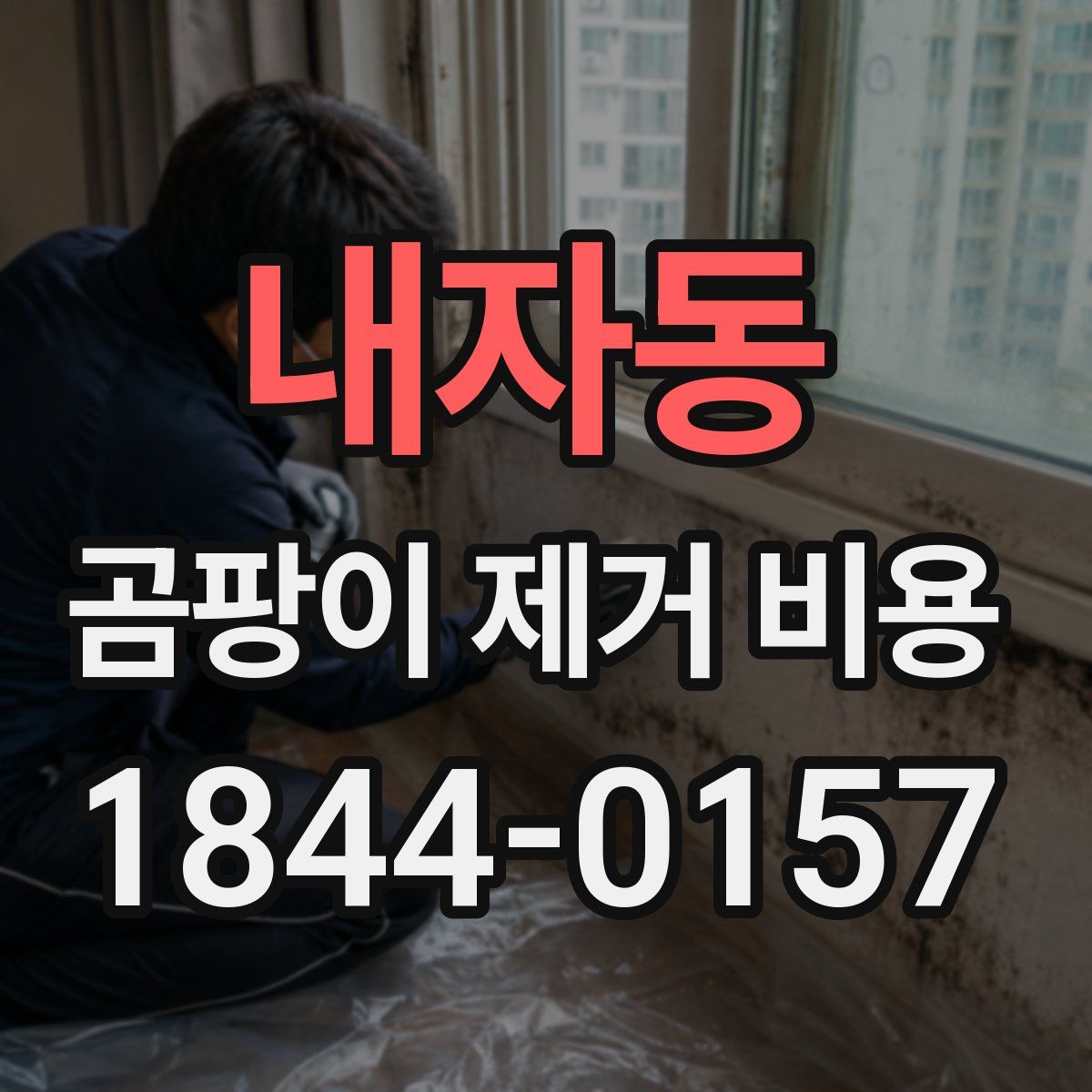 내자동 곰팡이 제거 비용