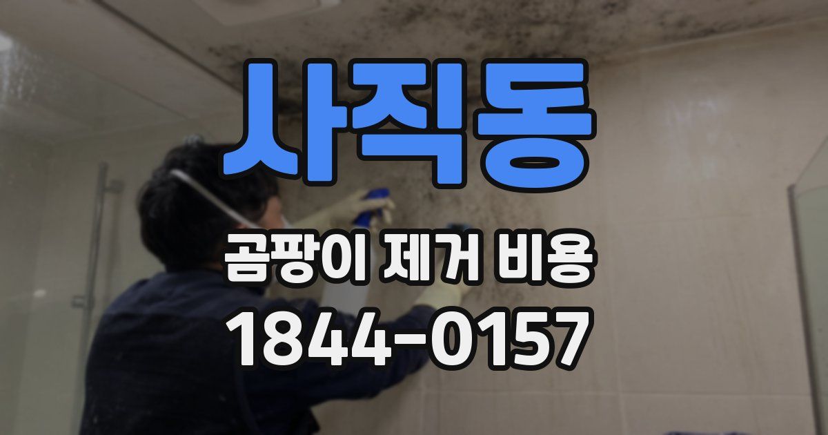 사직동 곰팡이 제거 비용