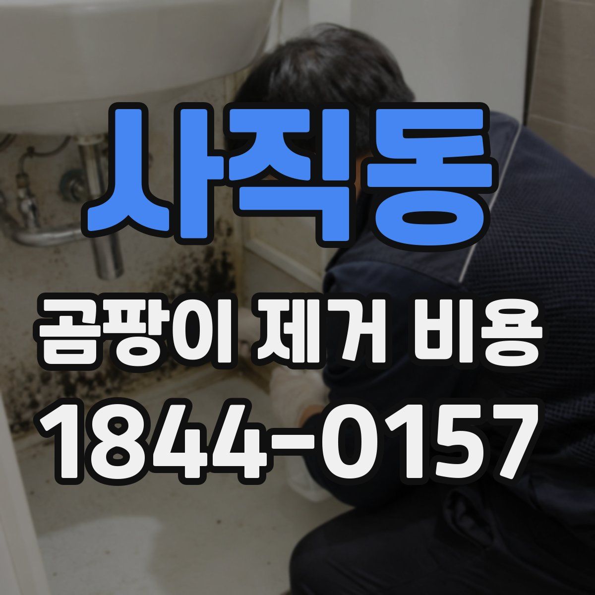 사직동 곰팡이 제거 비용