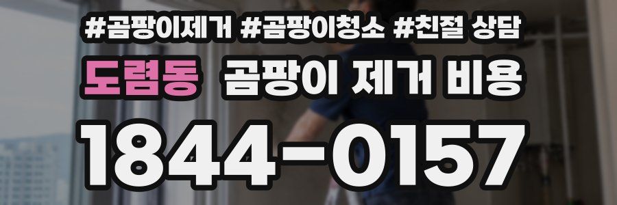 도렴동 곰팡이 제거 비용