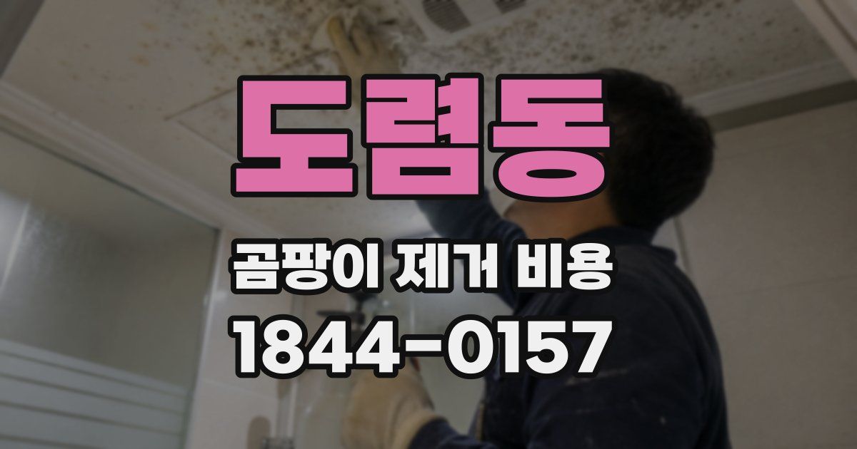 도렴동 곰팡이 제거 비용