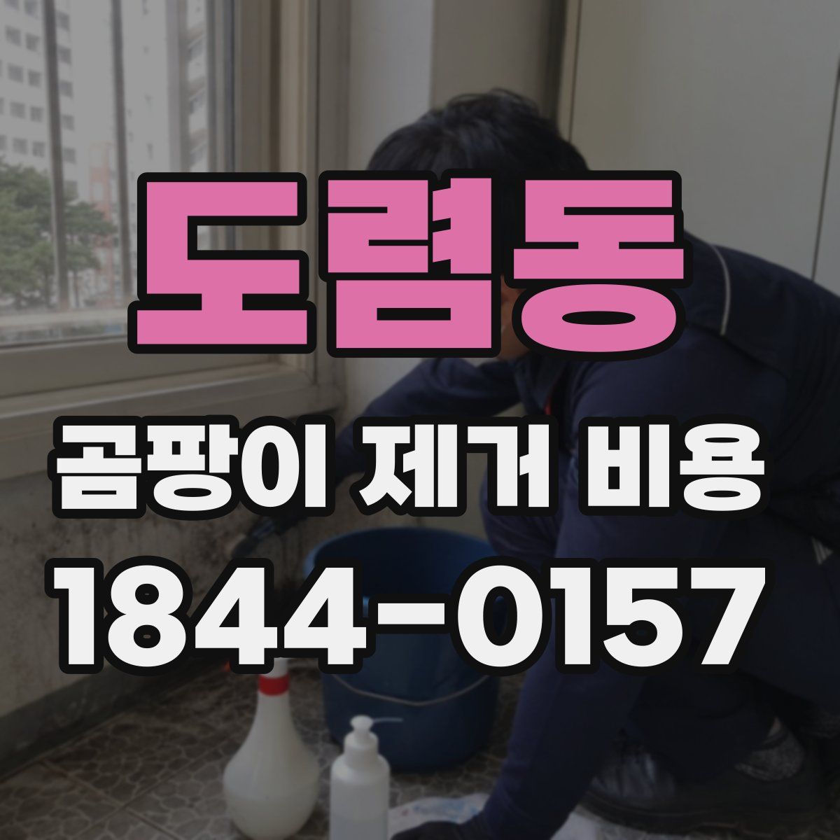 도렴동 곰팡이 제거 비용