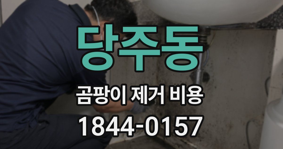 당주동 곰팡이 제거 비용