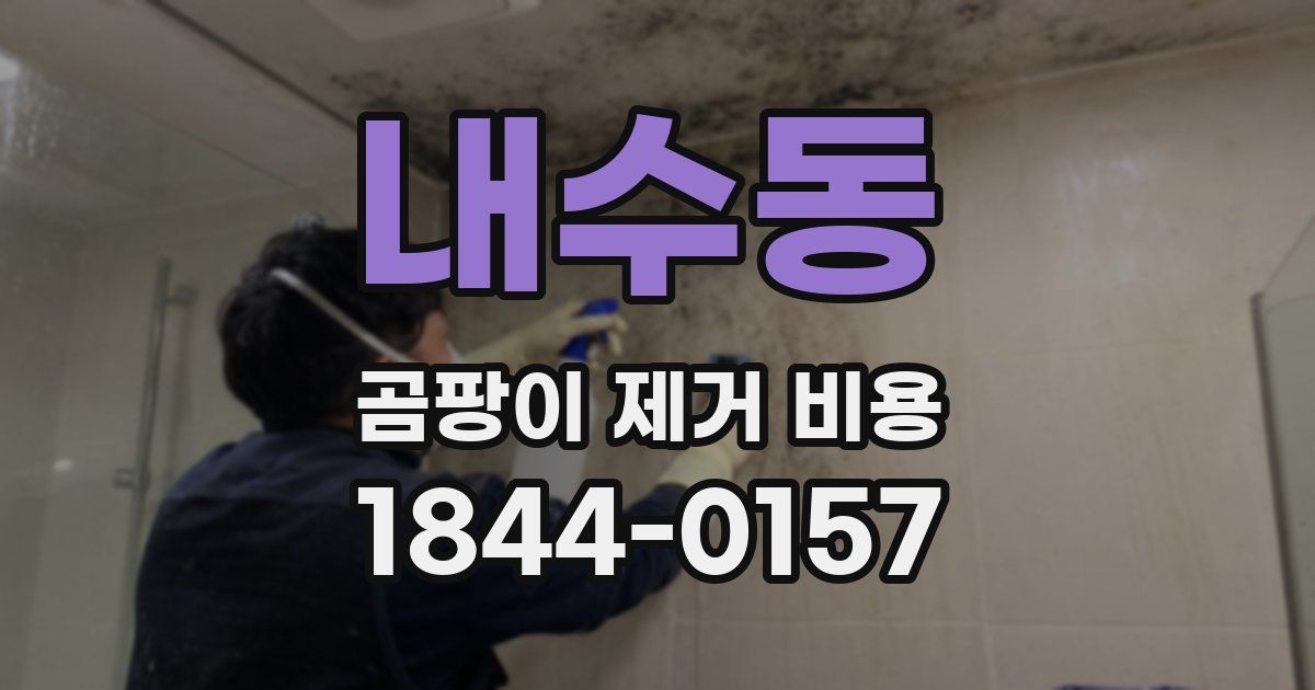 내수동 곰팡이 제거 비용