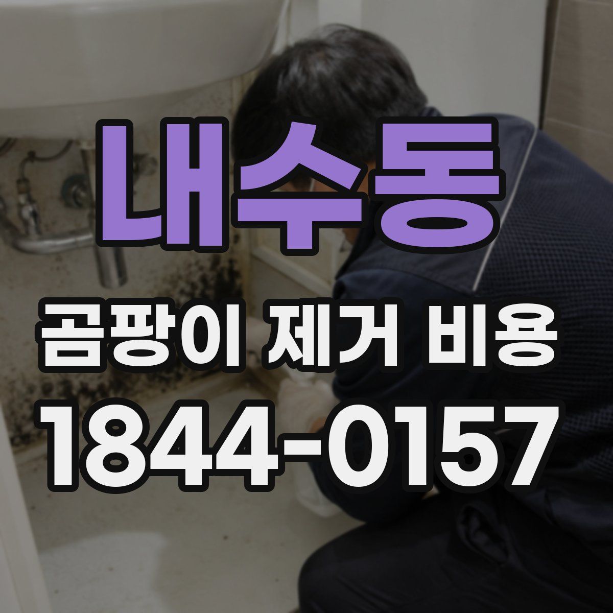 내수동 곰팡이 제거 비용