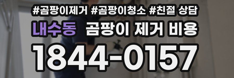 내수동 곰팡이 제거 비용