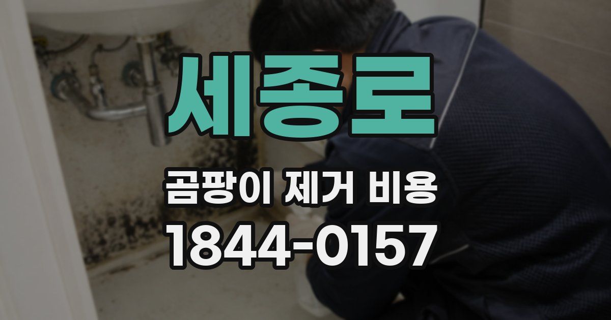 세종로 곰팡이 제거 비용