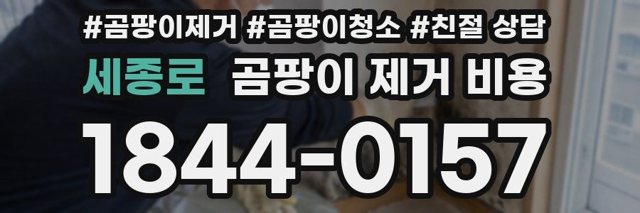 세종로 곰팡이 제거 비용