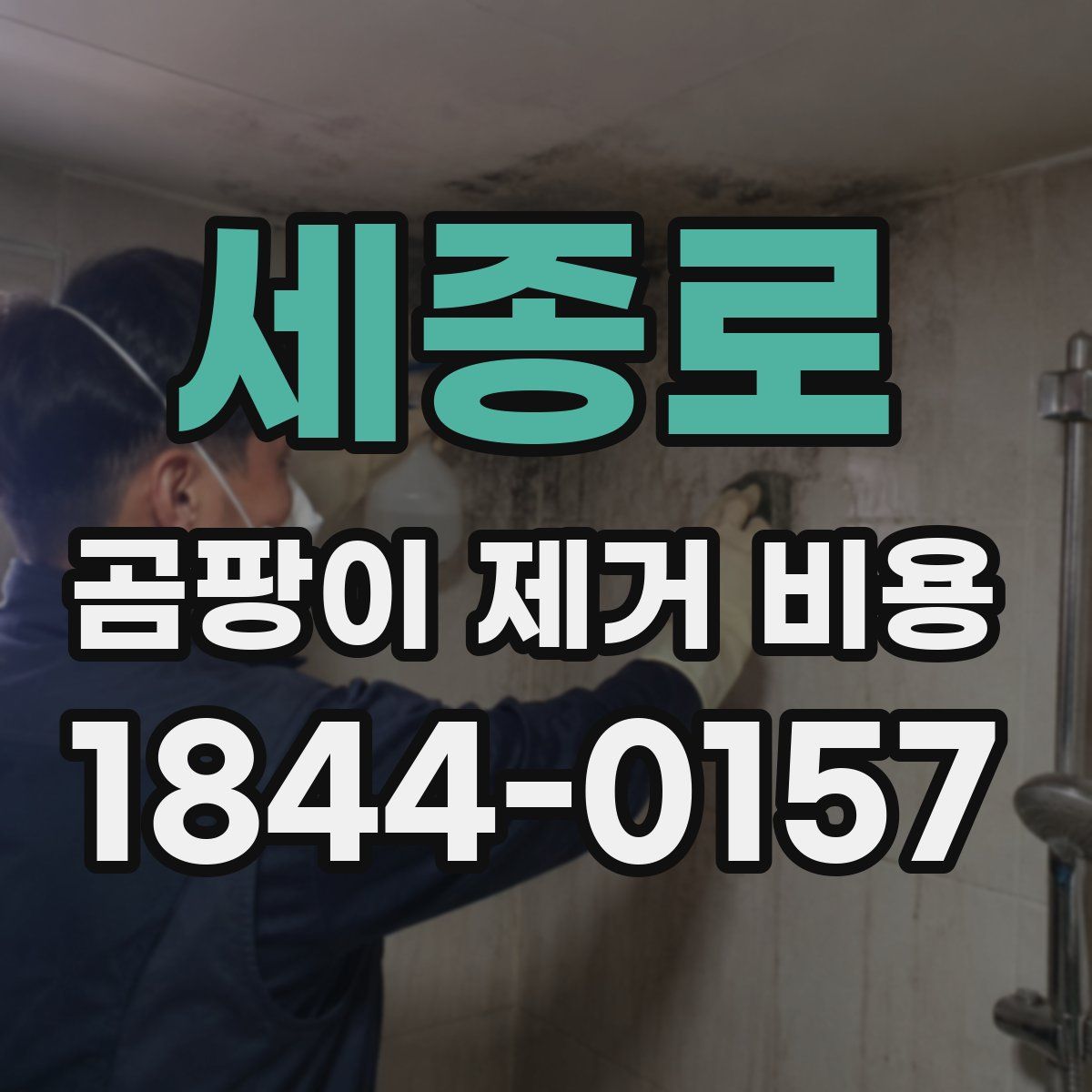 세종로 곰팡이 제거 비용