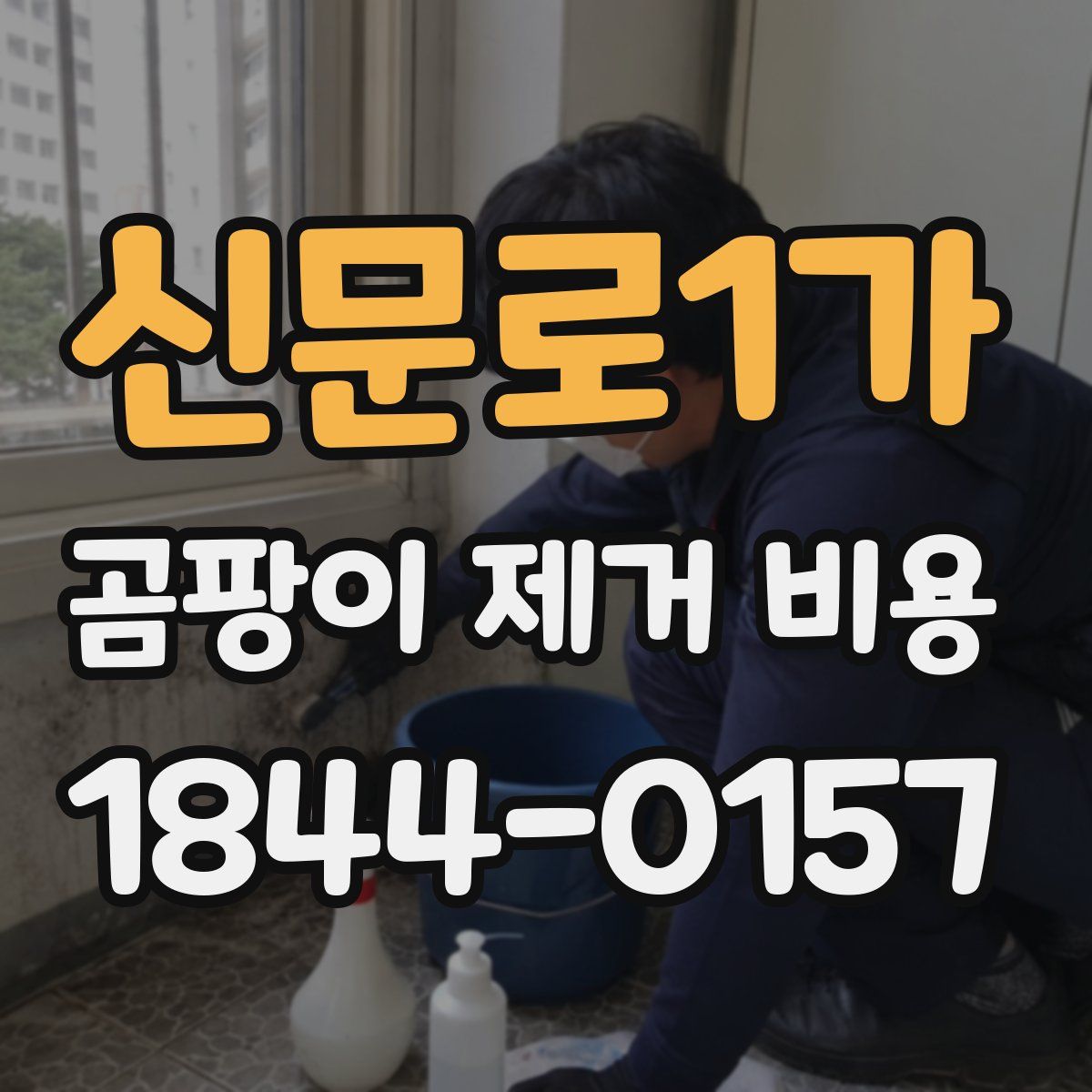 신문로1가 곰팡이 제거 비용