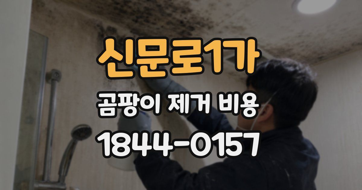 신문로1가 곰팡이 제거 비용