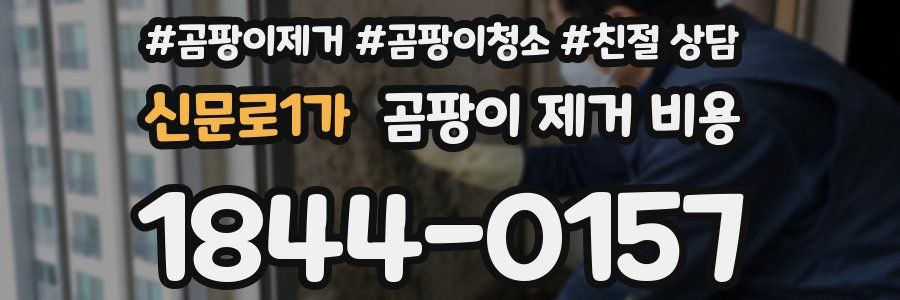 신문로1가 곰팡이 제거 비용