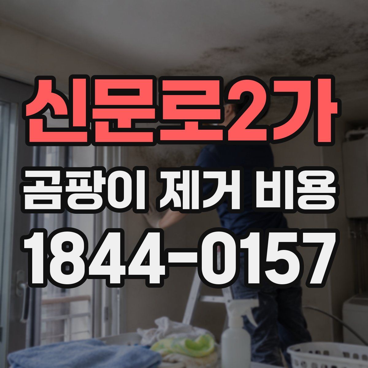 신문로2가 곰팡이 제거 비용