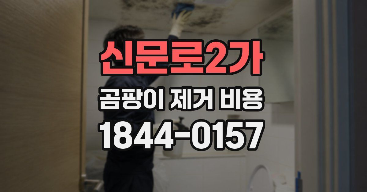 신문로2가 곰팡이 제거 비용