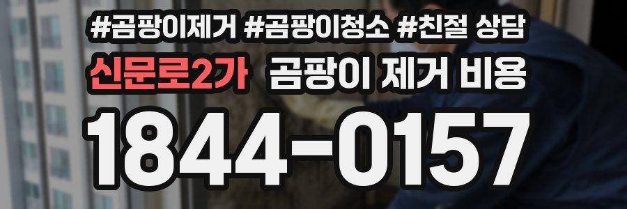 신문로2가 곰팡이 제거 비용