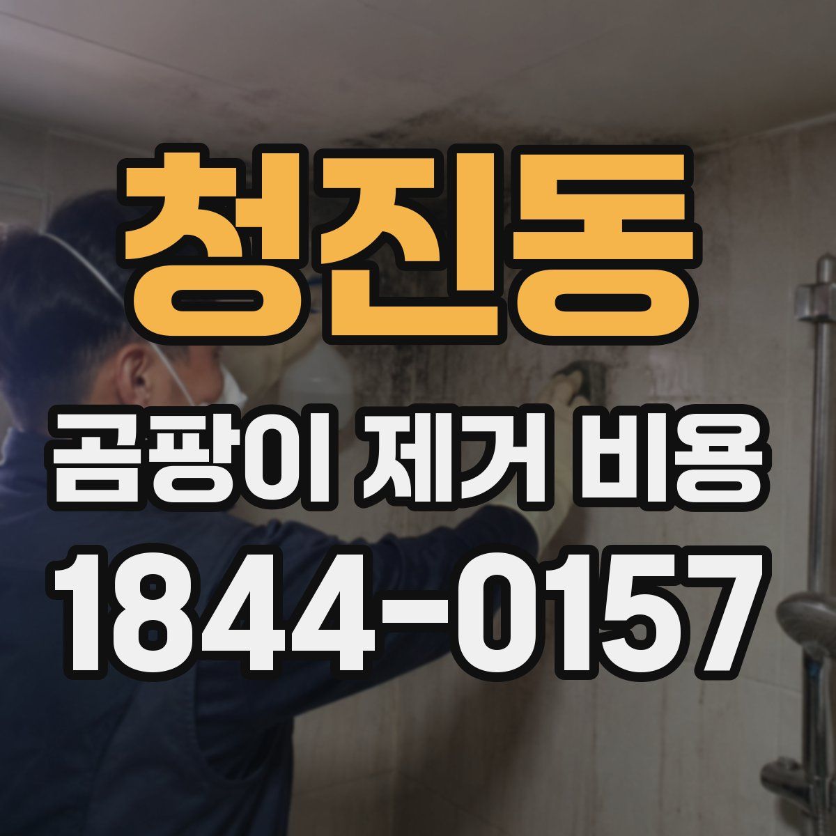 청진동 곰팡이 제거 비용