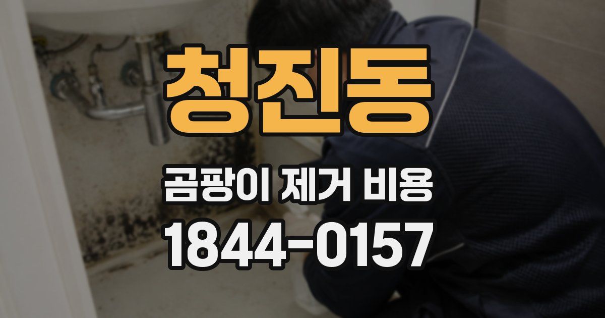 청진동 곰팡이 제거 비용