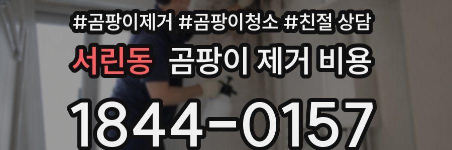 서린동 곰팡이 제거 비용