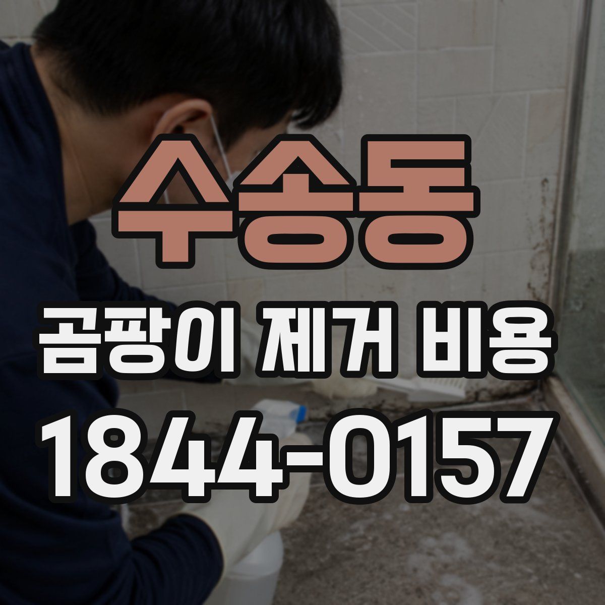 수송동 곰팡이 제거 비용
