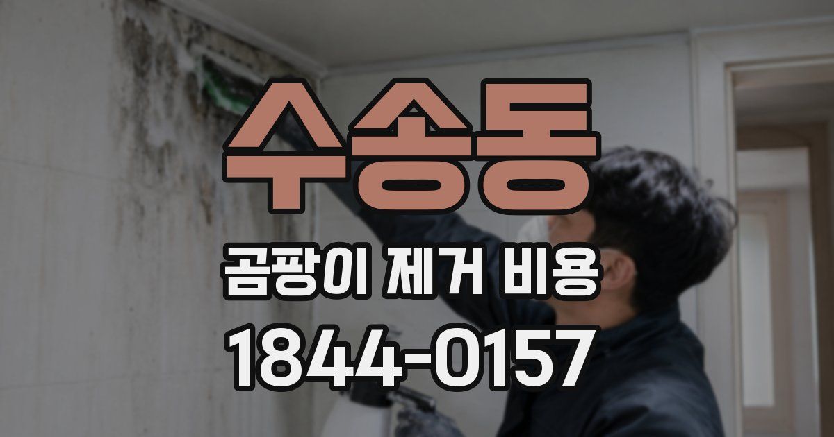 수송동 곰팡이 제거 비용