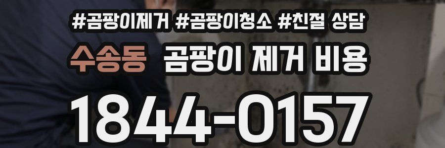 수송동 곰팡이 제거 비용