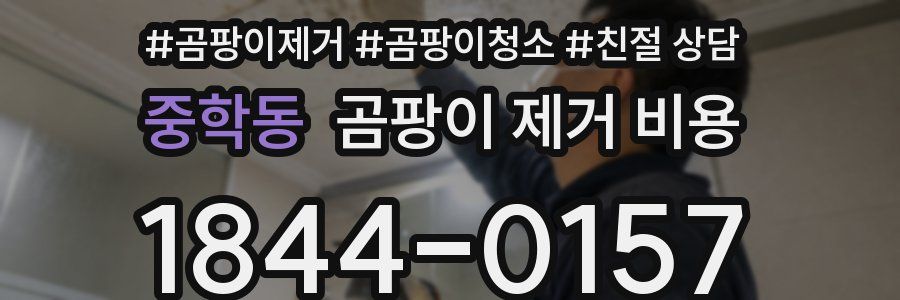 중학동 곰팡이 제거 비용