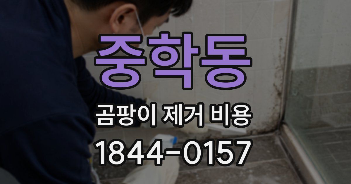 중학동 곰팡이 제거 비용