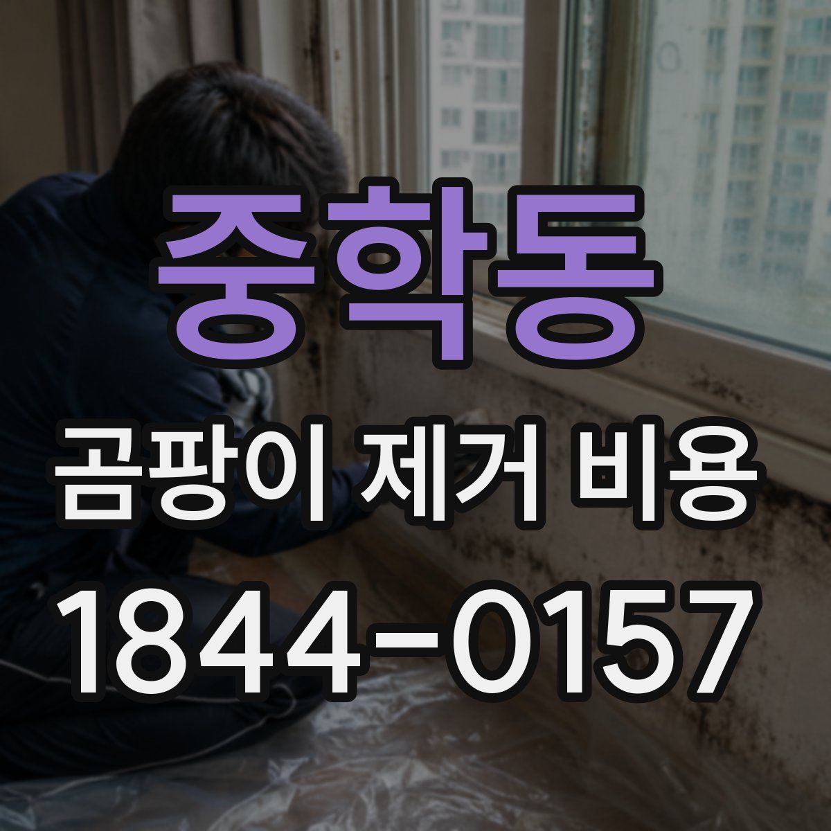 중학동 곰팡이 제거 비용