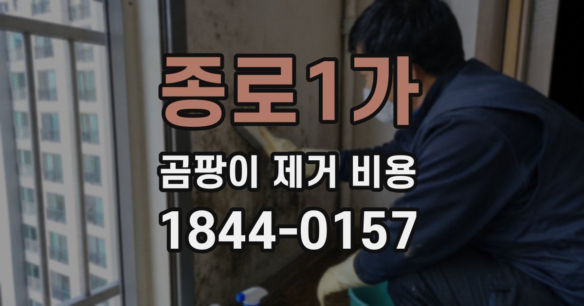 종로1가 곰팡이 제거 비용