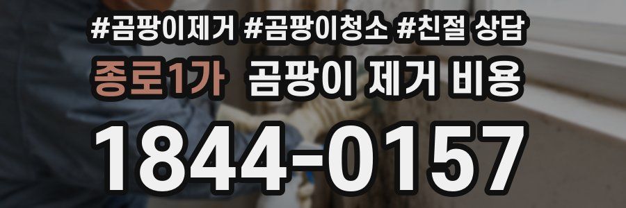 종로1가 곰팡이 제거 비용