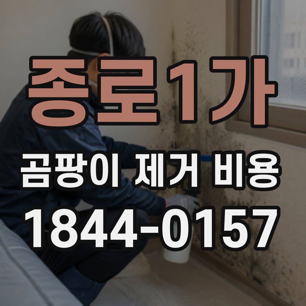 종로1가 곰팡이 제거 비용