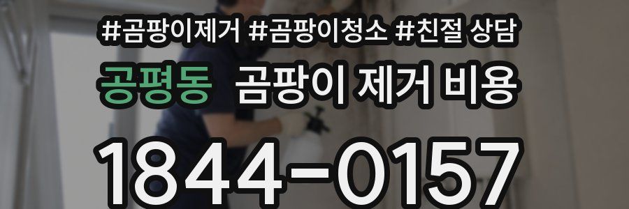 공평동 곰팡이 제거 비용