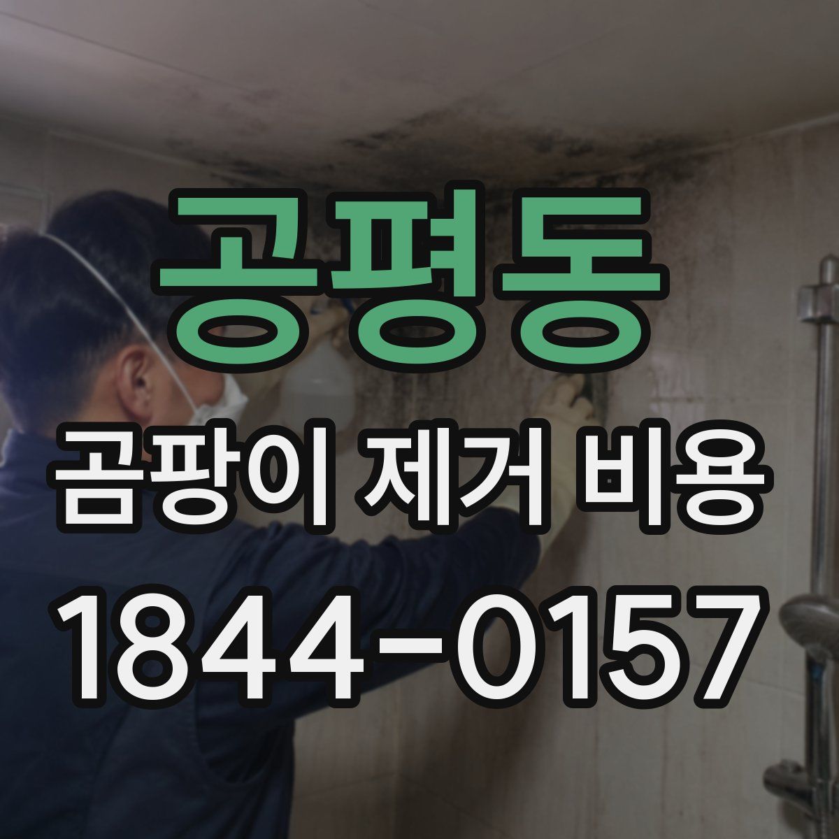공평동 곰팡이 제거 비용