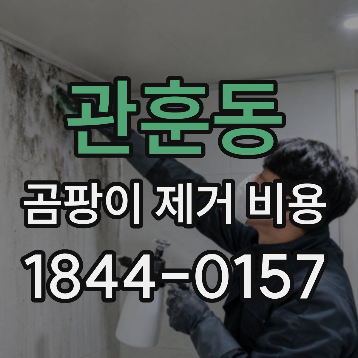 관훈동 곰팡이 제거 비용
