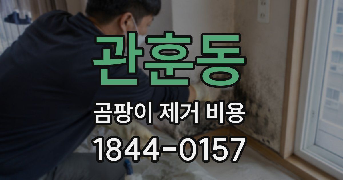 관훈동 곰팡이 제거 비용