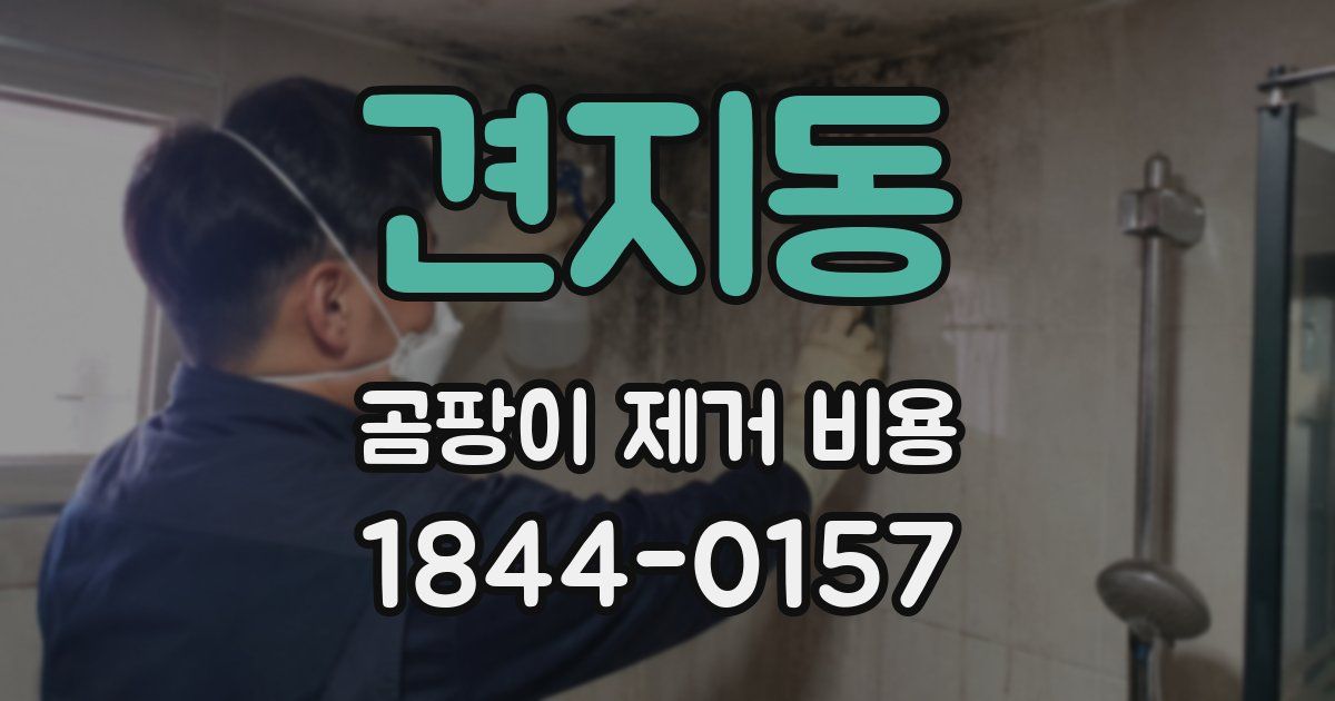 견지동 곰팡이 제거 비용