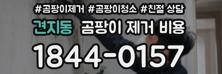 견지동 곰팡이 제거 비용
