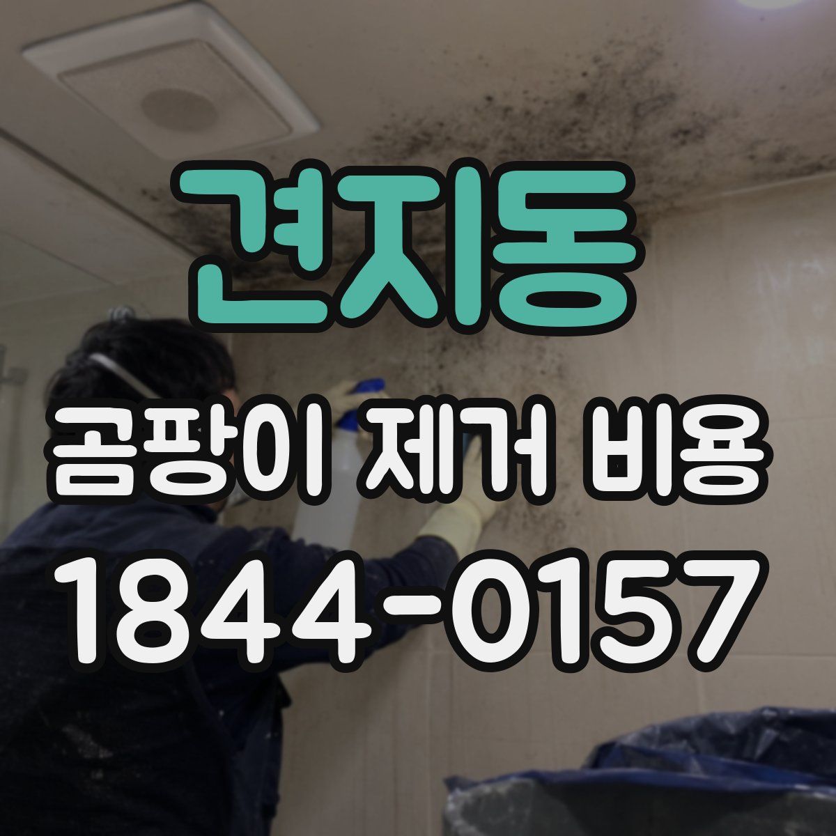 견지동 곰팡이 제거 비용