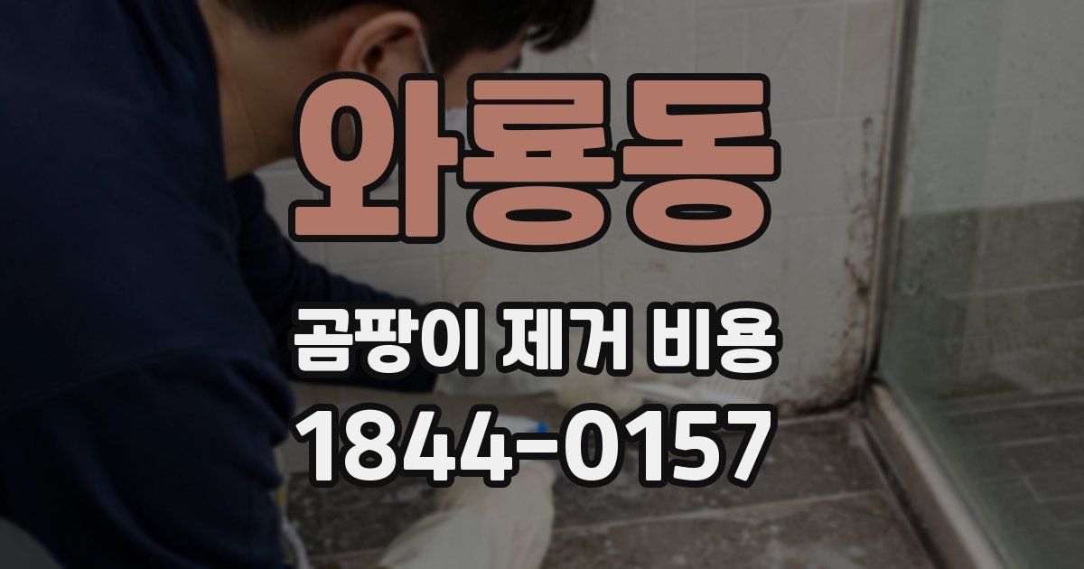 와룡동 곰팡이 제거 비용