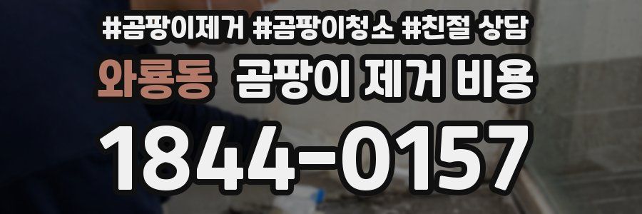 와룡동 곰팡이 제거 비용