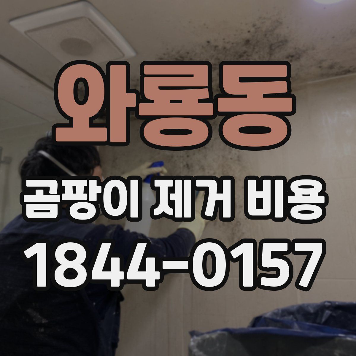 와룡동 곰팡이 제거 비용