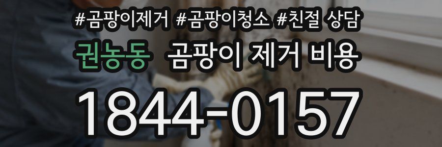 권농동 곰팡이 제거 비용